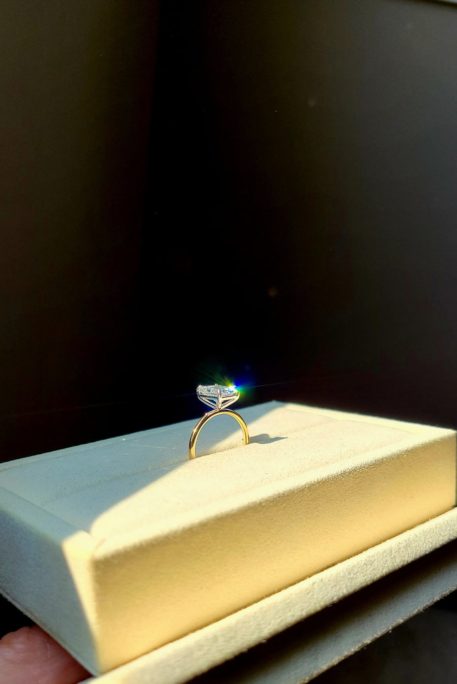 aaa